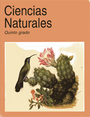 Ciencias Naturales Quinto grado. Libro de texto gratuito